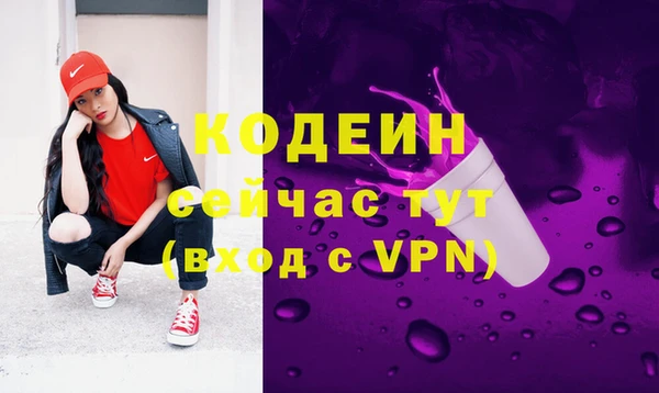 индика Богородск