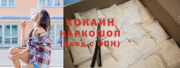 СК Бронницы