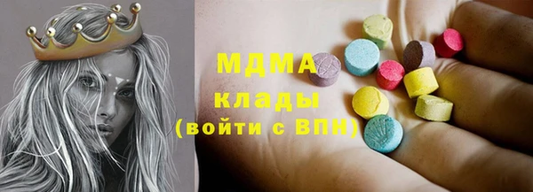 индика Богородск
