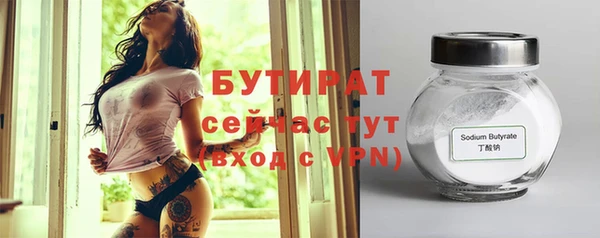 индика Богородск