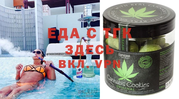 индика Богородск