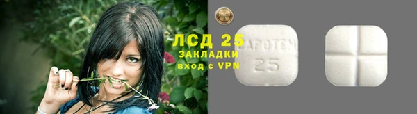винт Богданович