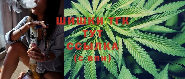 винт Богданович