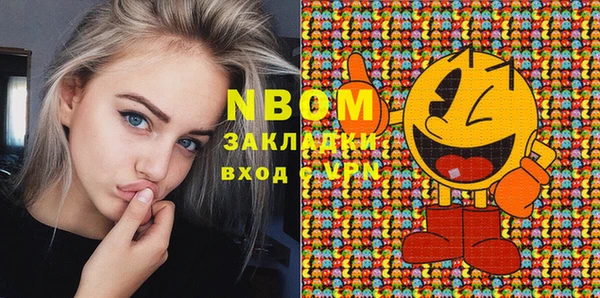 индика Богородск