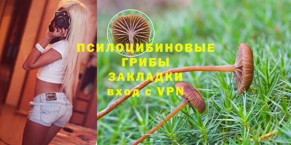 винт Богданович