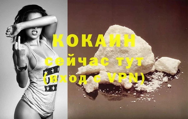 индика Богородск