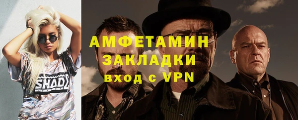 индика Богородск