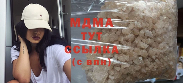 индика Богородск