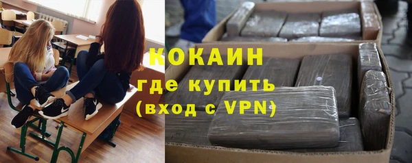 винт Богданович